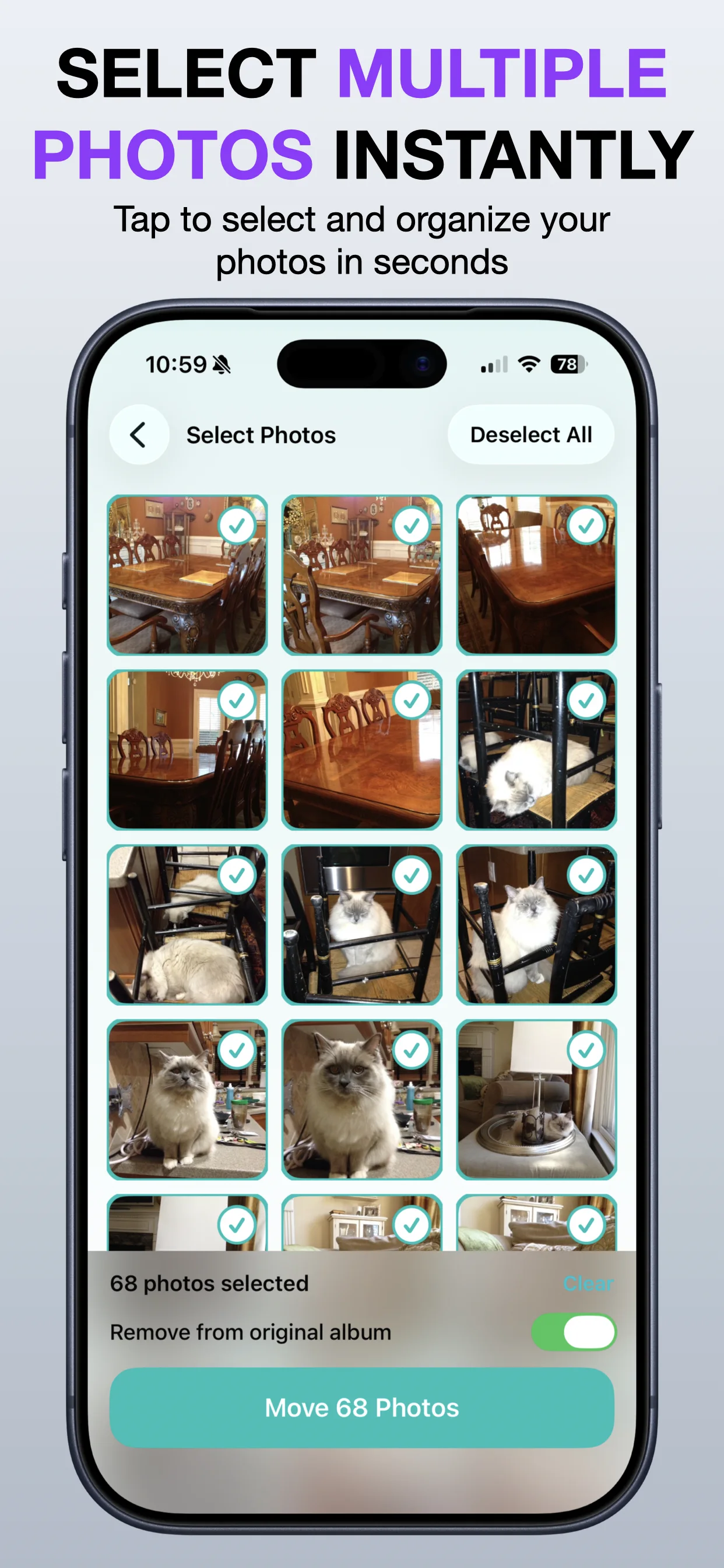 Move Photos Between Albums screenshot: Pick a destination