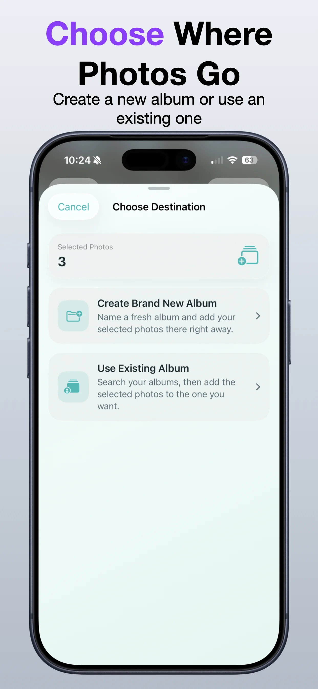 Sort Photos Into Album screenshot: Review the workflow